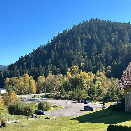 Domaine Coup De Coeur - Le Cocon Du Gérardmer