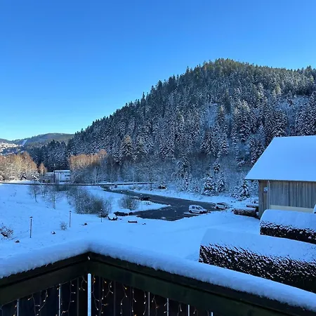 Domaine Coup De Coeur - Le Cocon Du Lejlighed Gérardmer